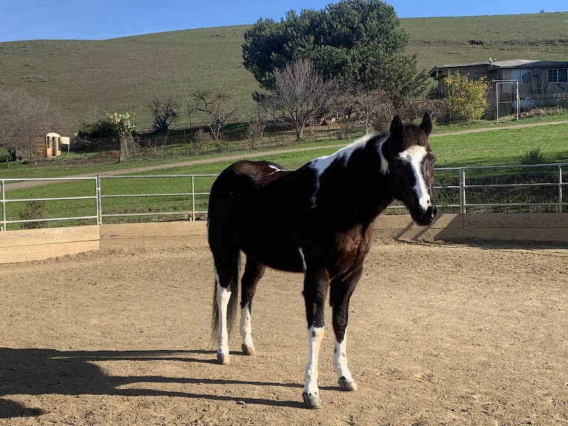 OOD Ranch photo 5