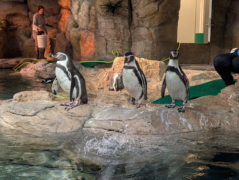 Mote Science Education Aquarium (SEA) photo 5