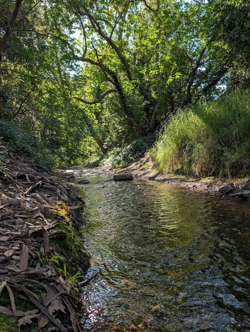 Heritage Oaks Park photo 5