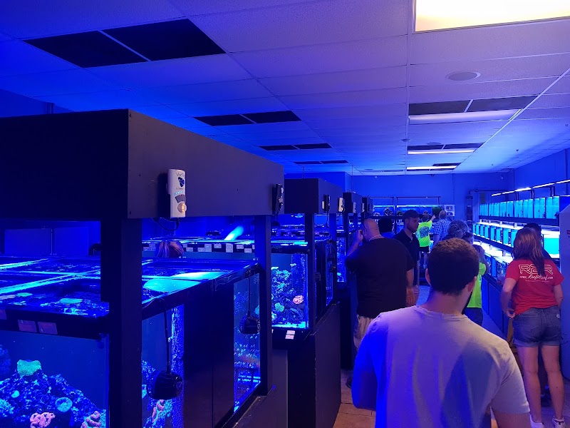 World Wide Corals photo 3