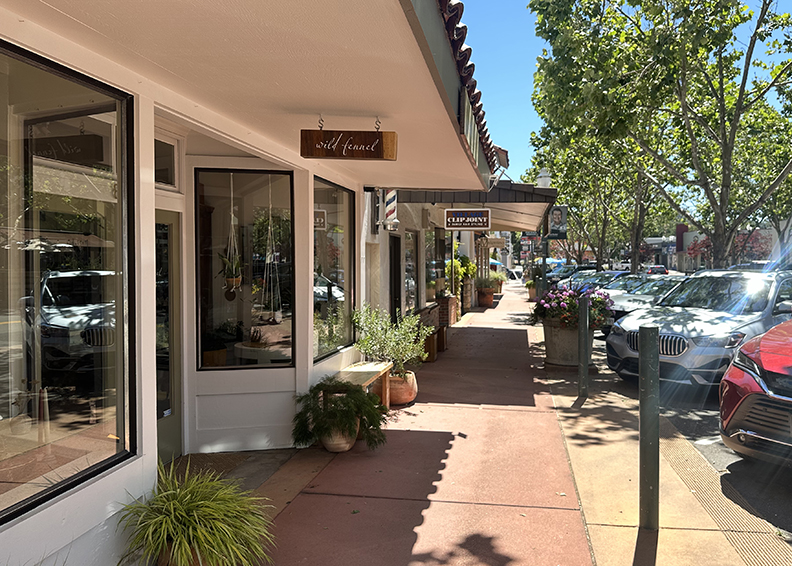 Photo of Solution-Suite | Affordable Digital Marketing Novato, CA