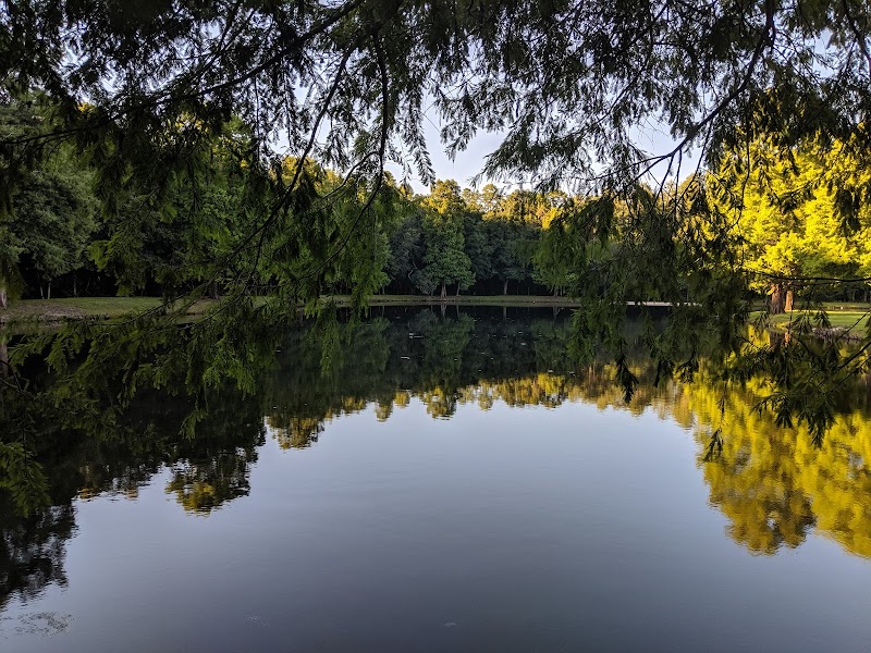 Ridgemoor Central Park photo 5