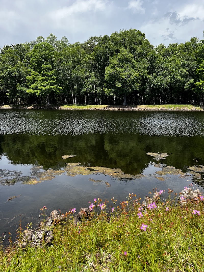 Ridgemoor Central Park photo 3