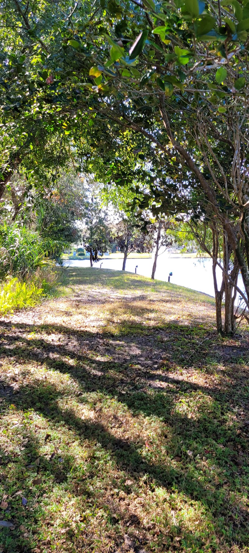 Ridgemoor Central Park photo 4