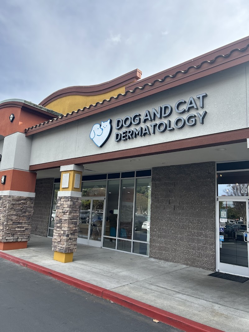 Photo of Dog and Cat Dermatology