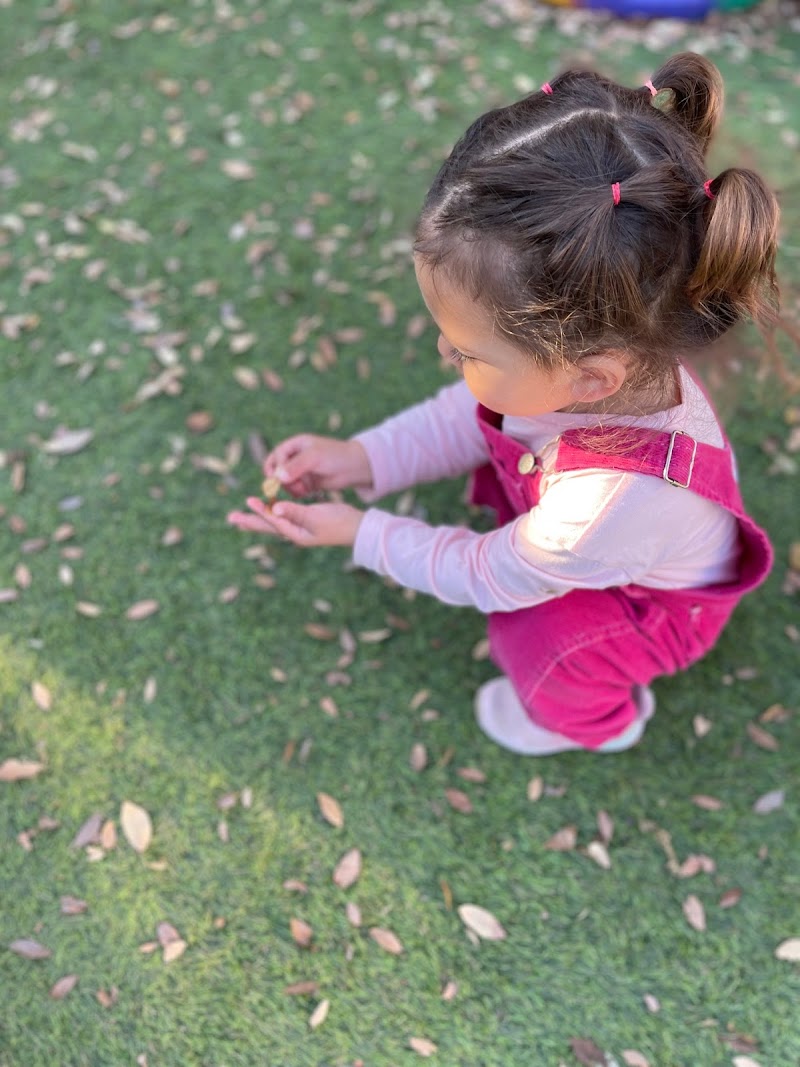 Photo of Little Treasures Kids Academy