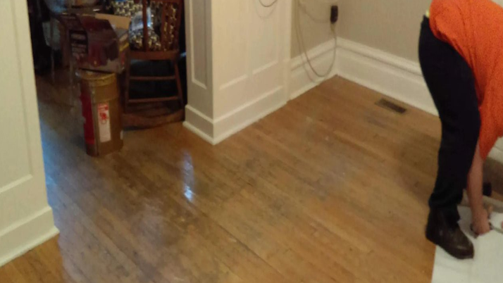 Photo of VODI Restorations Lutz & Mold Removal