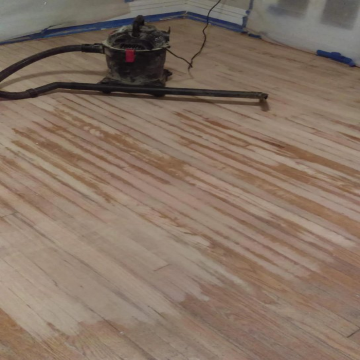VODI Restorations Lutz & Mold Removal photo 3