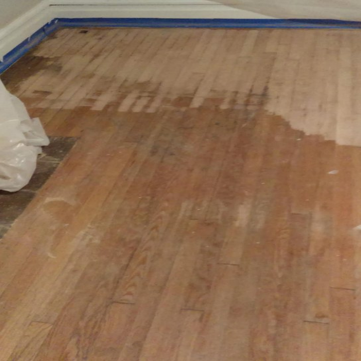 VODI Restorations Lutz & Mold Removal photo 4