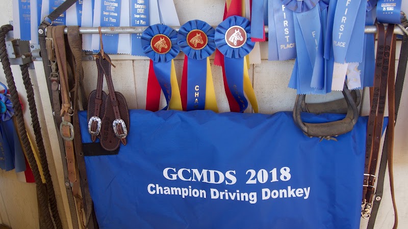 DM Stables photo 2