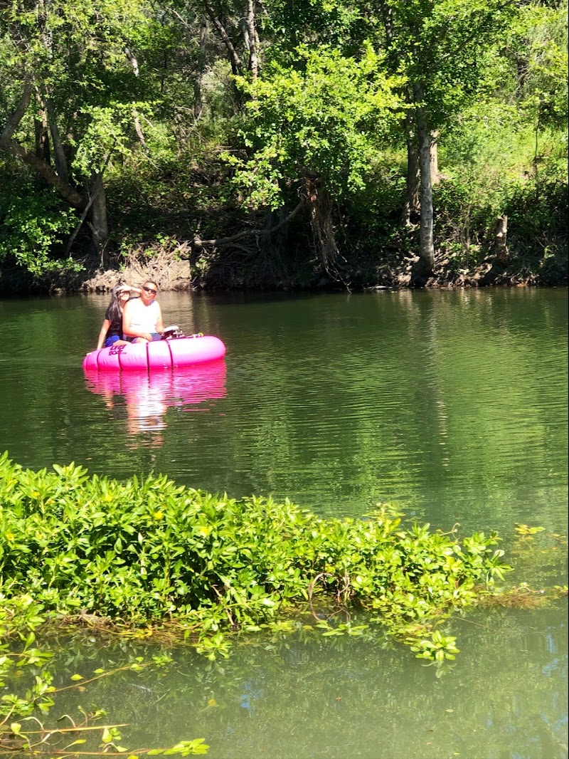 Cloverdale River Park photo 5