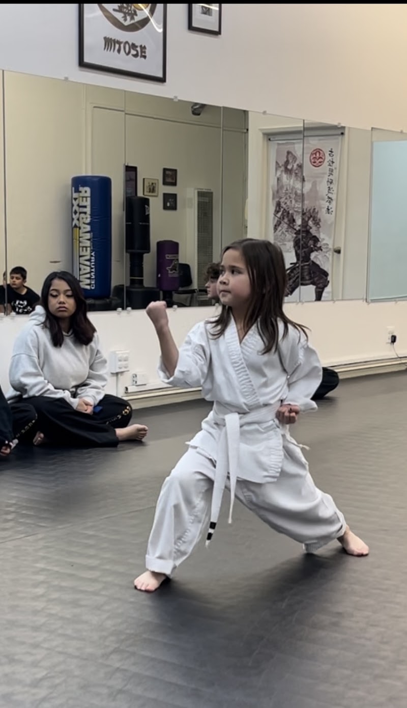 Bay Area's Best Karate photo 3