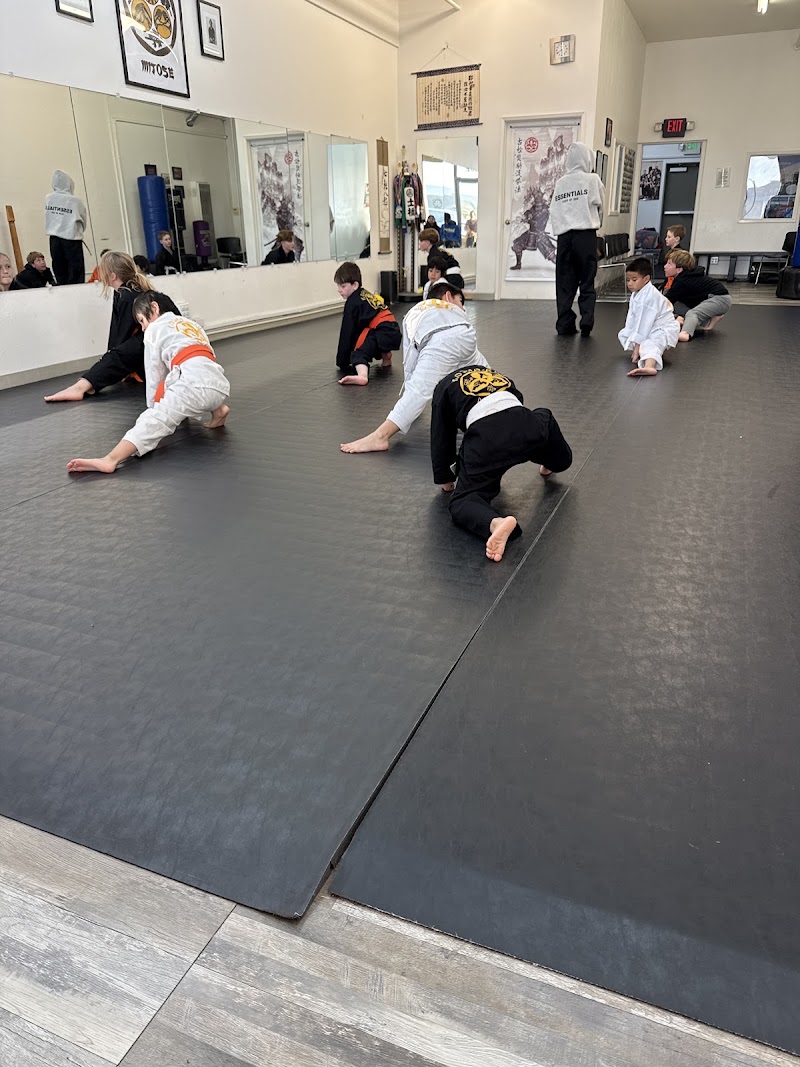 Bay Area's Best Karate photo 2