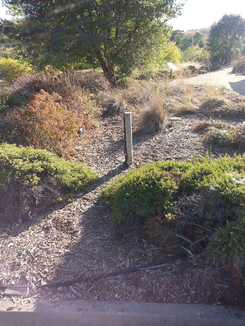 Public Restroom (Portaloos) photo 3