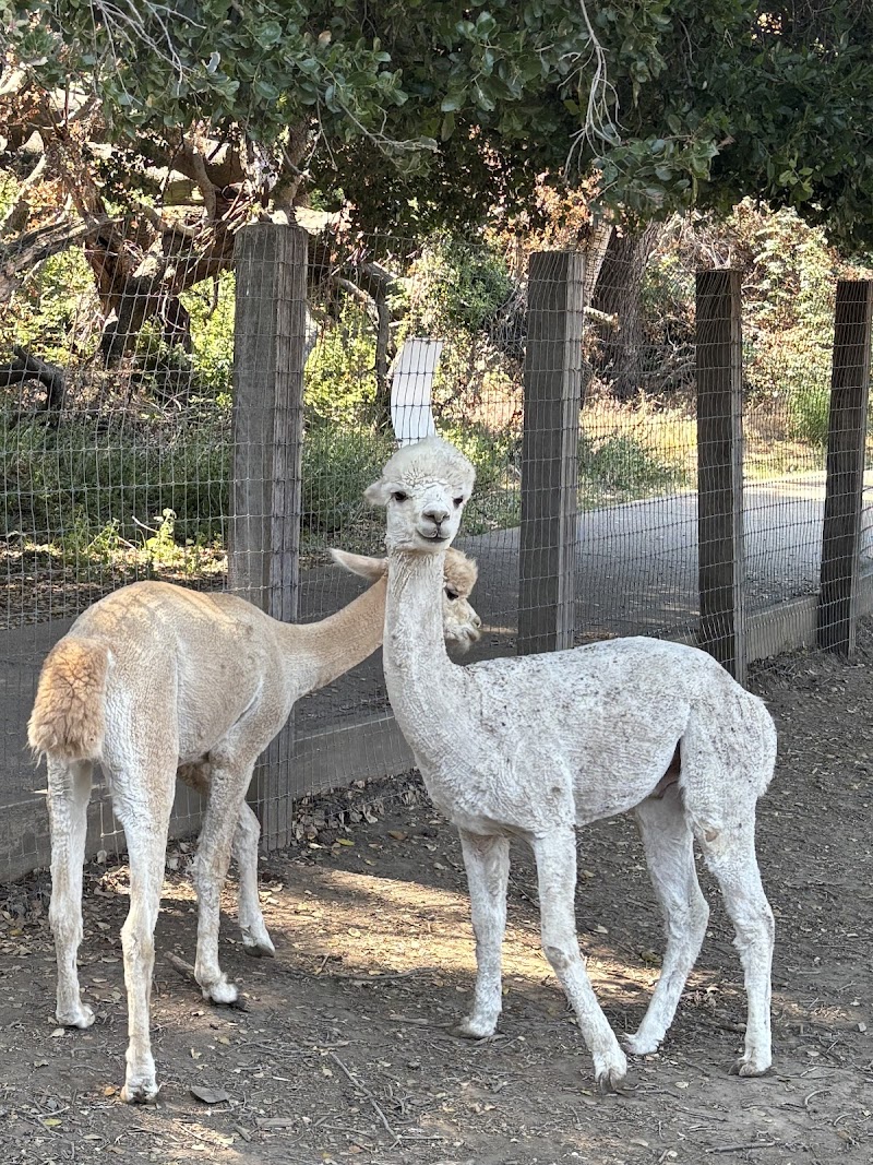McClellan Ranch Preserve photo 5