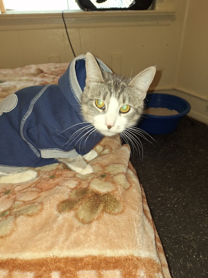 San Francisco SPCA Spay & Neuter Clinic photo 5
