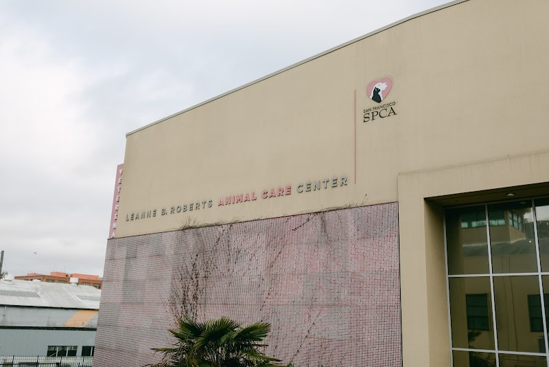 San Francisco SPCA Spay & Neuter Clinic photo 2