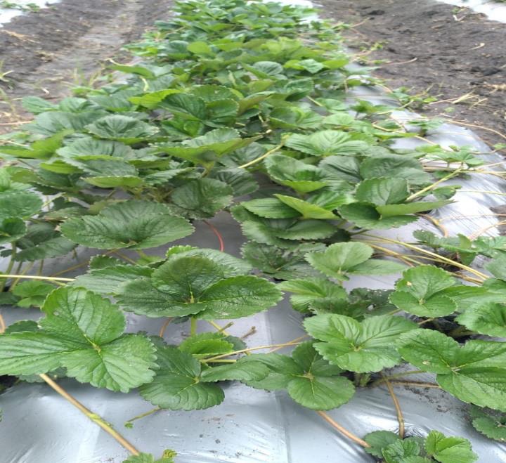AquaBella Organic Solutions, LLC photo 4