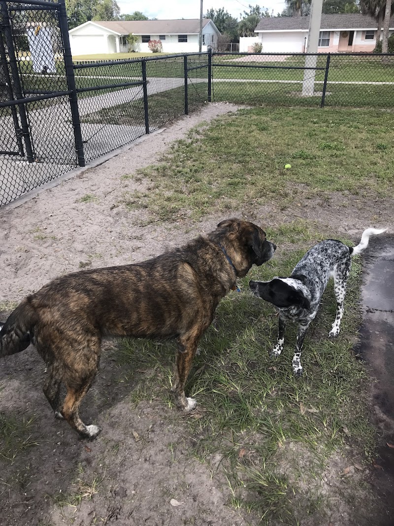 Apollo Beach Dog Park photo 5
