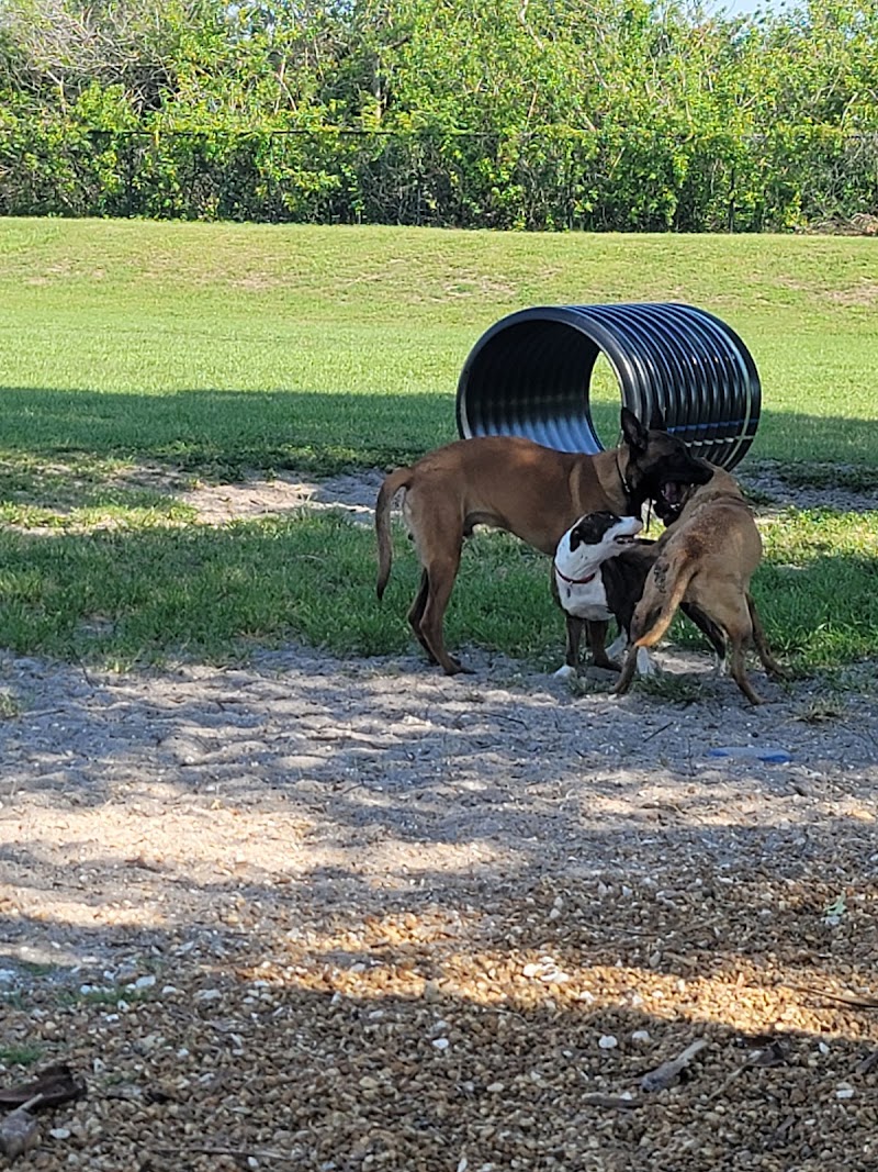 Apollo Beach Dog Park photo 2