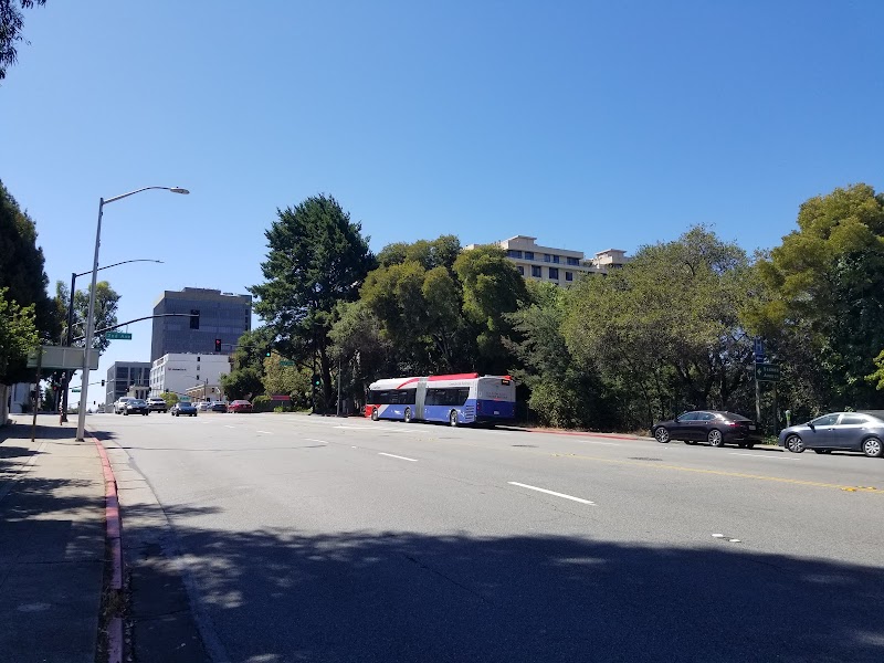 El Camino Real & 2nd Ave photo 4