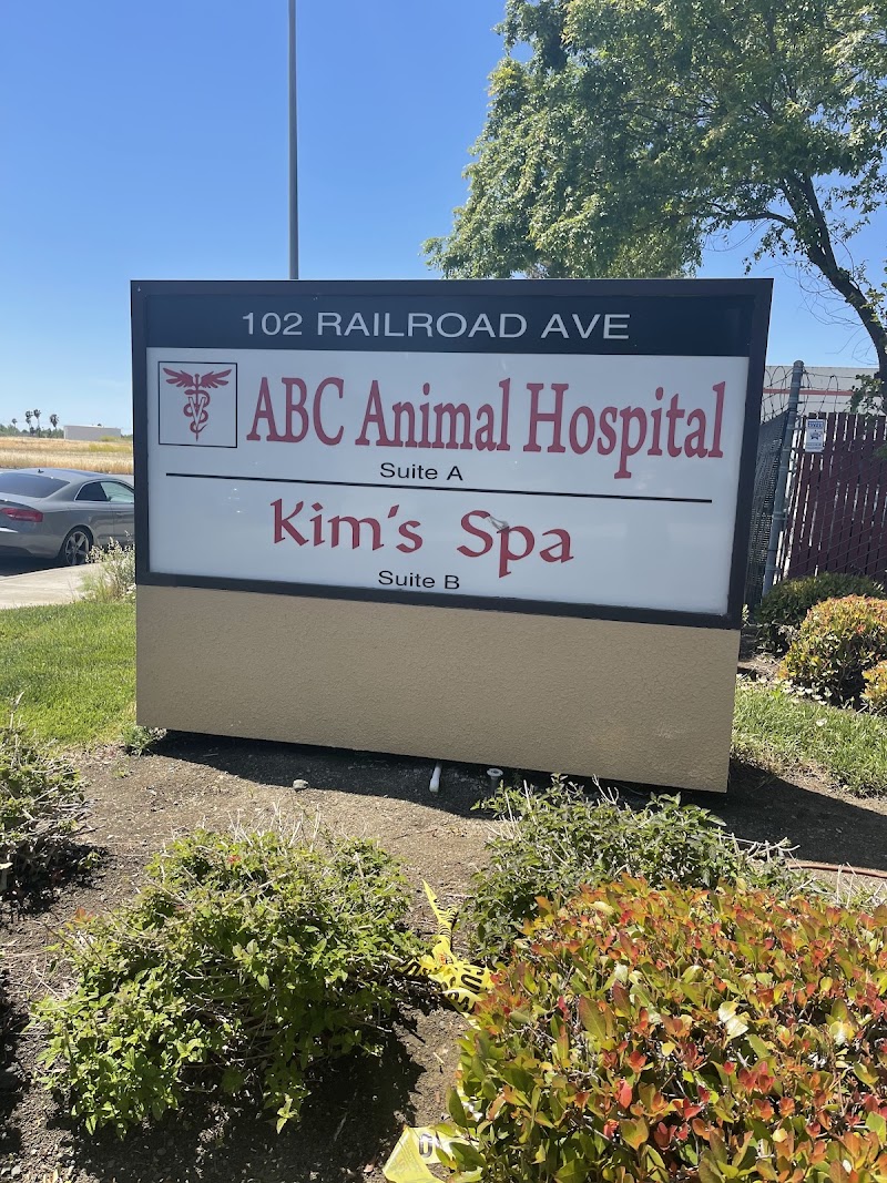 Photo of Pinnacle Animal Hospital