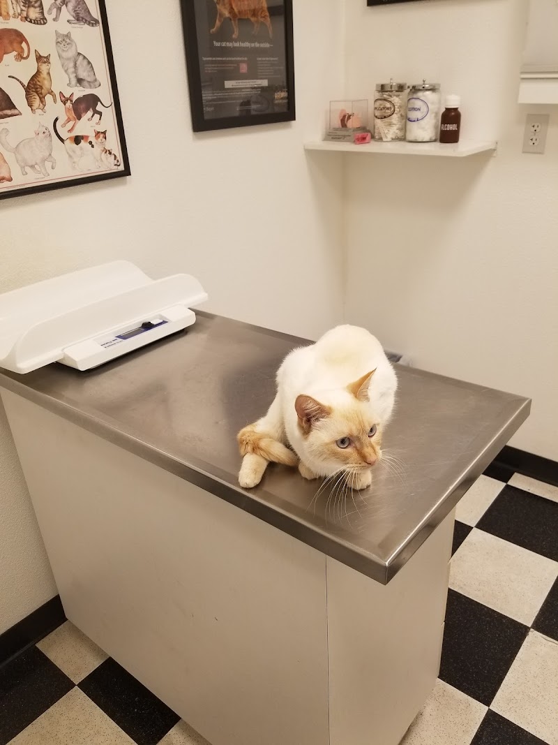 Pinnacle Animal Hospital photo 3