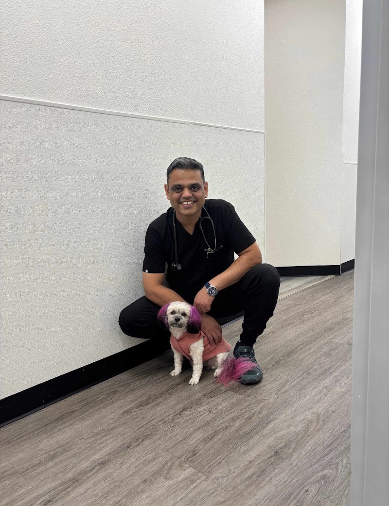 Pinnacle Animal Hospital photo 4