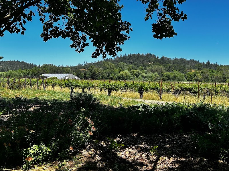 Preston Farm and Winery photo 5