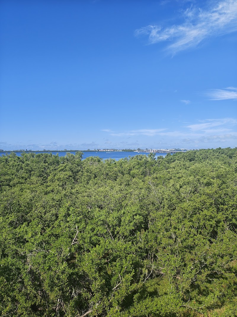 Neal Preserve Observation Tower photo 2