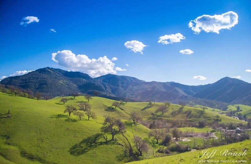Diablo Valley Cremation & Funeral Services photo 3
