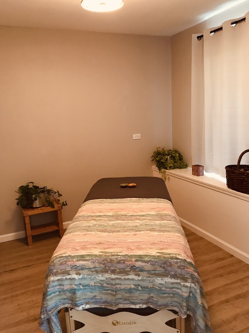 Bay View Wellness- Acupuncture, Herbs, Massage photo 4