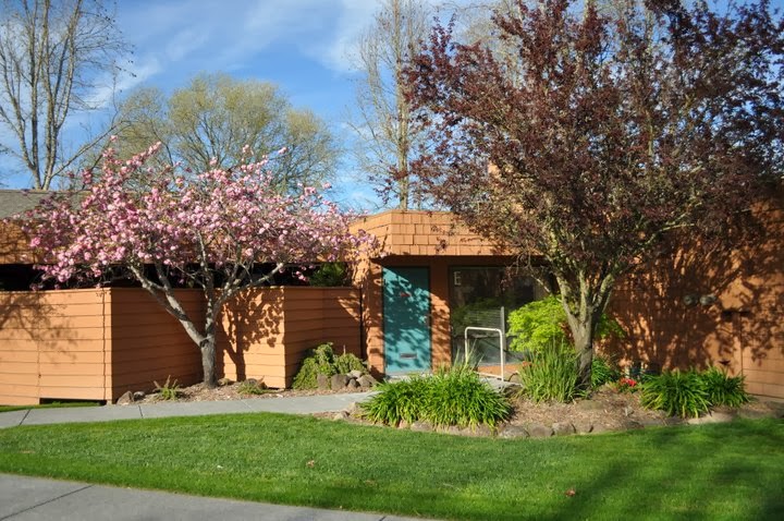 Photo of Sebastopol Family Dentistry, Inc. Dr. Scott Dixon DDS