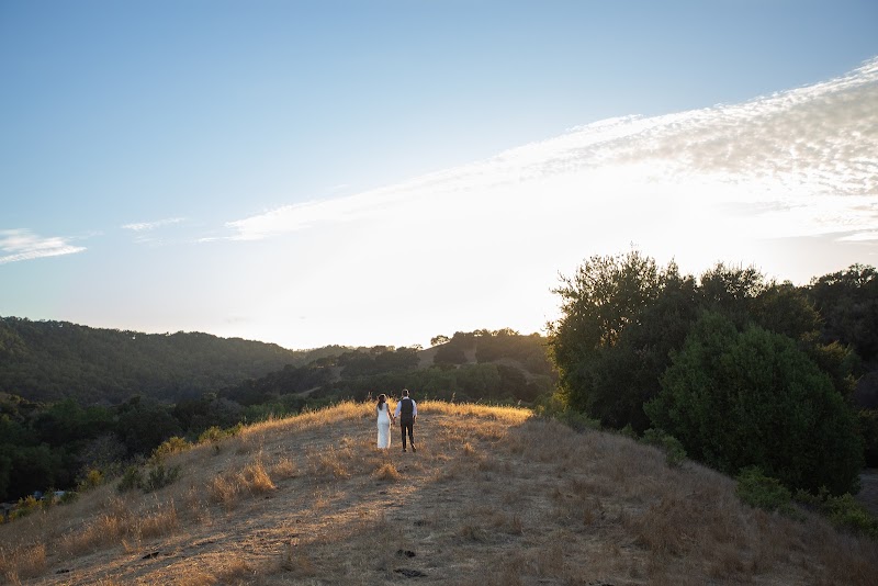 Newt Hollow Picnic Area photo 2