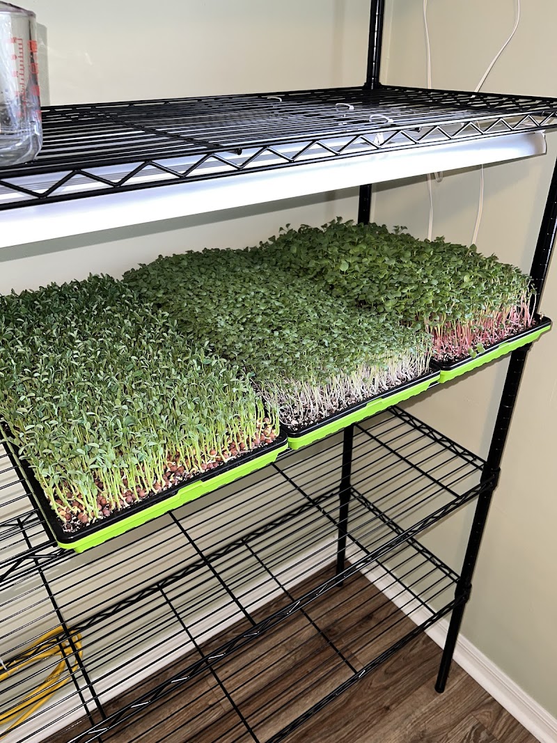 TwinLeaf Microgreens photo 2