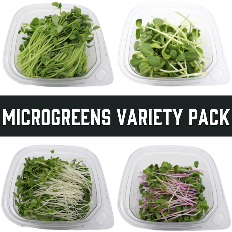 Photo of TwinLeaf Microgreens