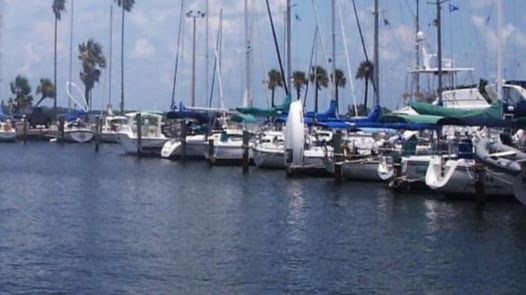 Whitco Insurance Agency Palm Harbor 👍 photo 3