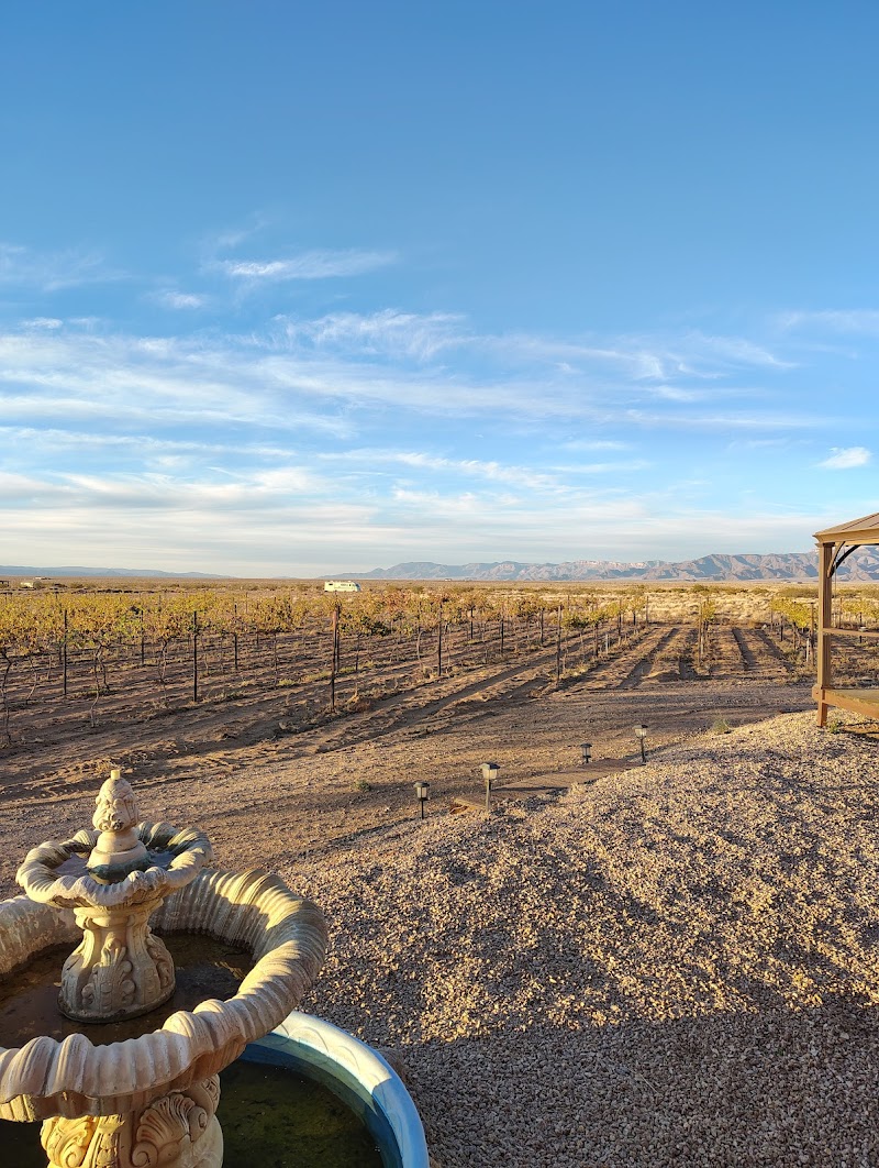 Little Old Wine Drinkers Winery photo 4