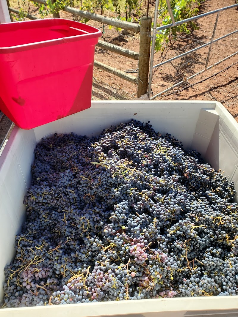 Desert Rock Winery & Distillery photo 3