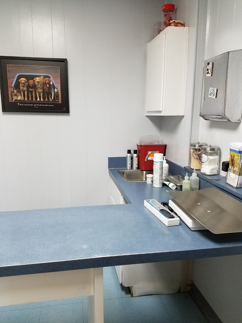 Animal Care Center of Wildwood photo 4