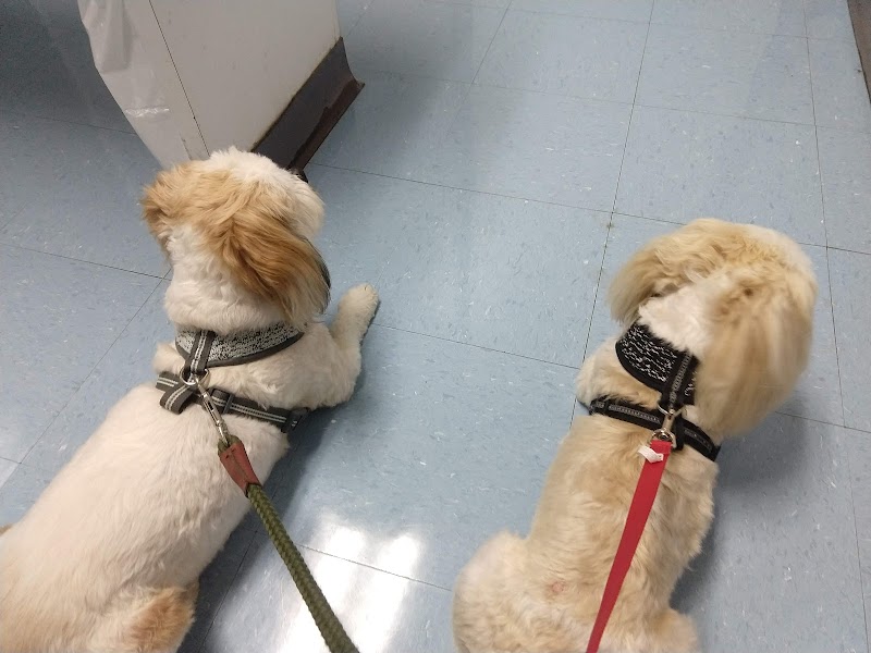 Animal Care Center of Wildwood photo 5