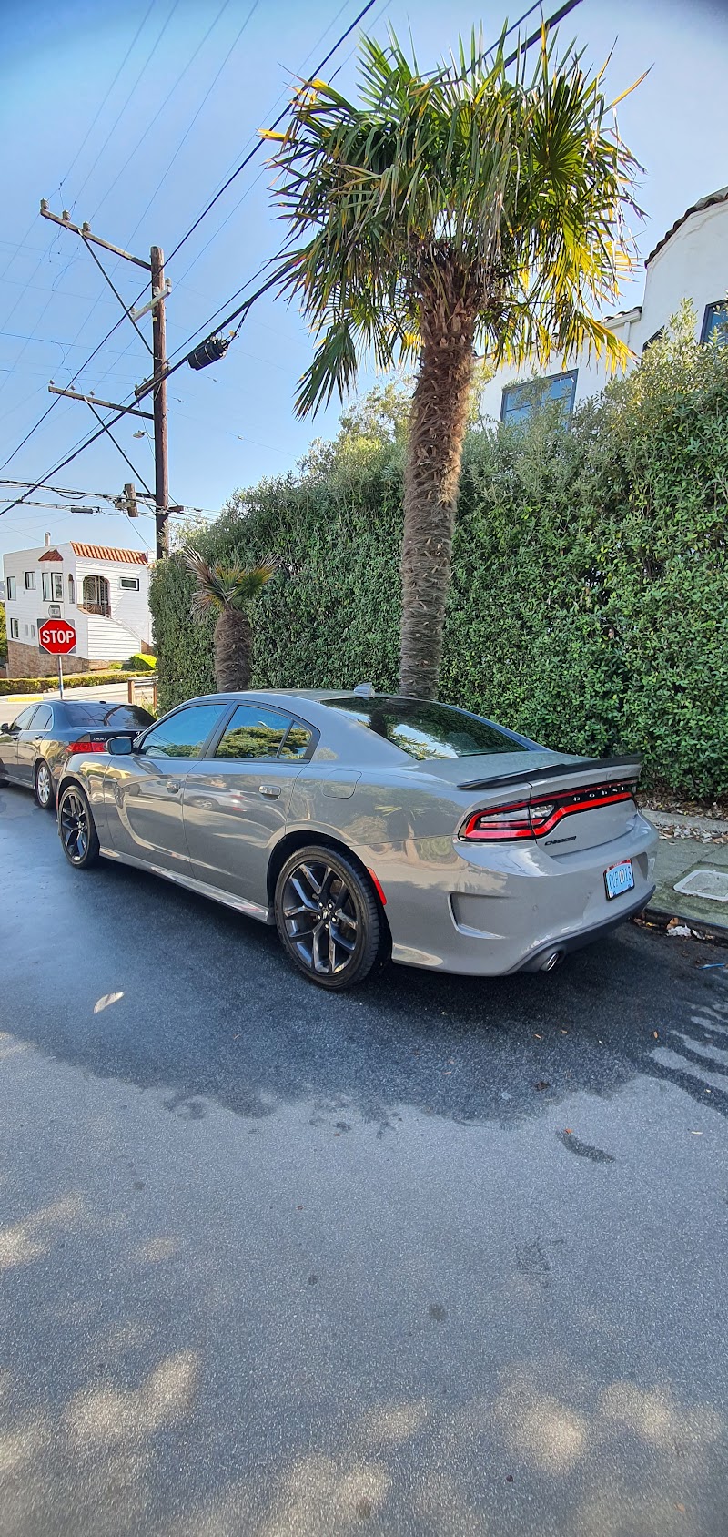 Bullitt Mobile Car Wash & Detailing photo 5