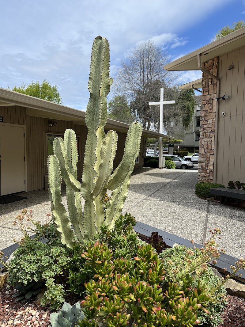 Christ's Community Church photo 5