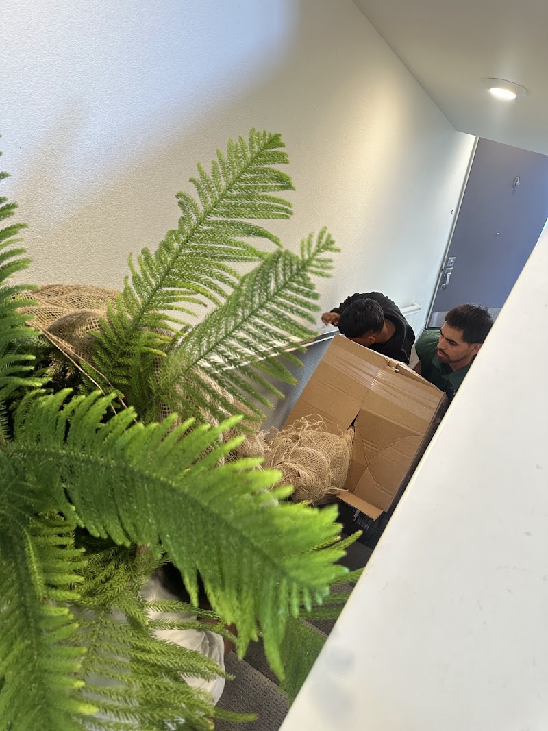 Eagle Moving and Storage photo 5
