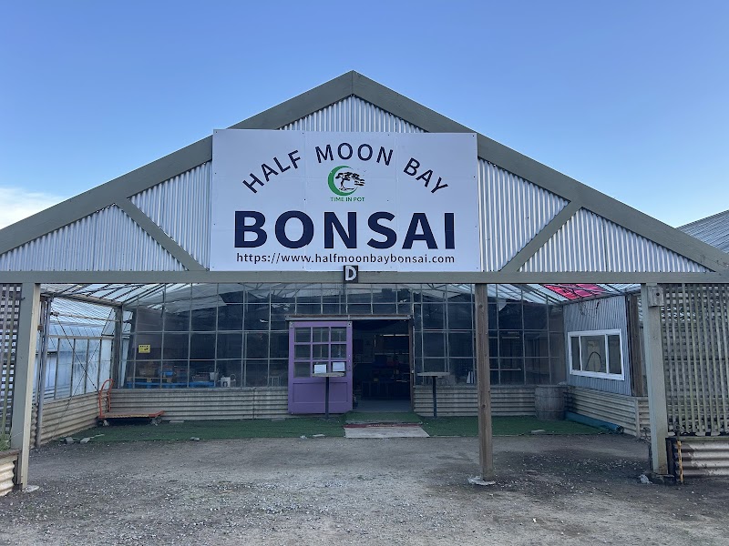 Photo of Halfmoon Bay Bonsai