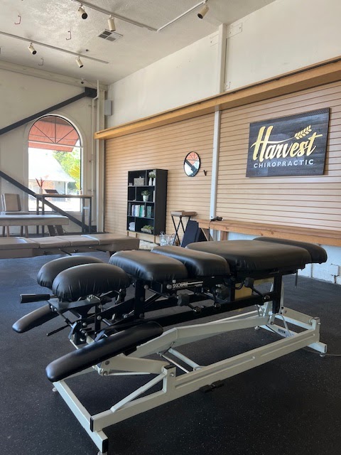 Harvest Chiropractic photo 2