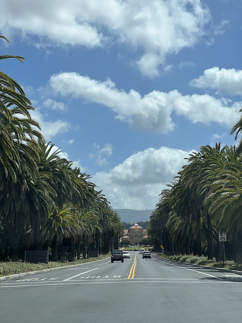 Stanford Griffins photo 4