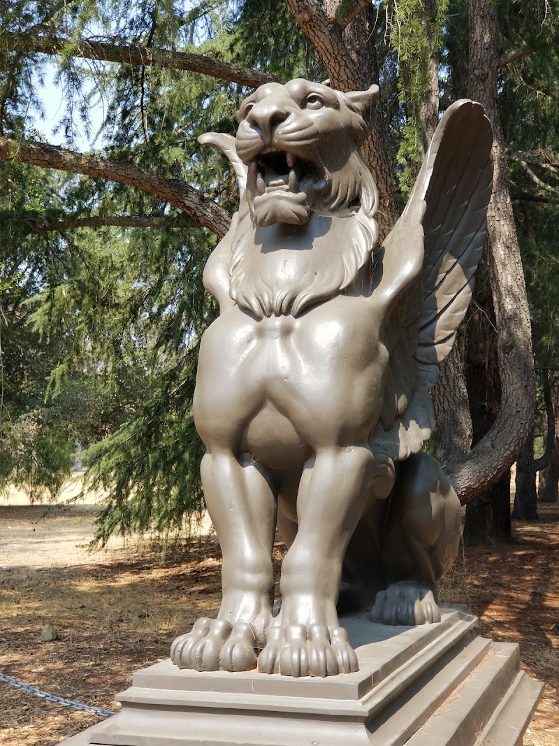Stanford Griffins photo 2