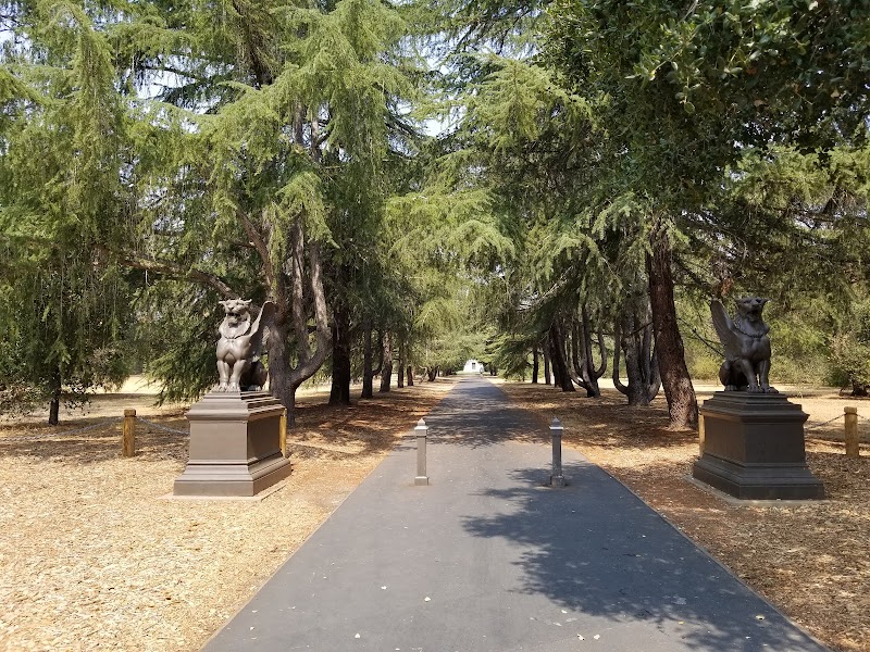 Photo of Stanford Griffins