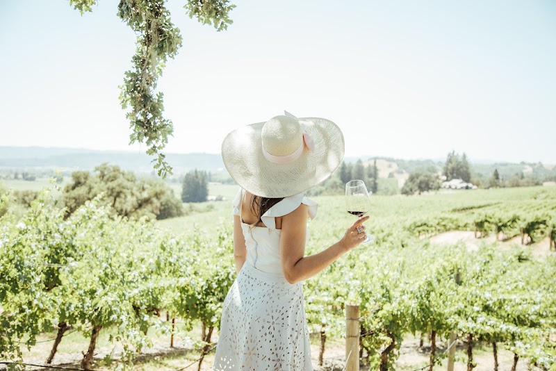 Napa Valley Tip photo 2
